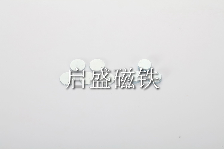 圓形磁鐵 (19)